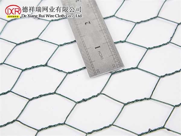 六角网2.jpg